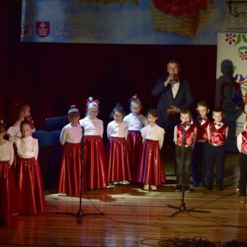 Spróbuj pokochać – Festiwal malin koszyk – Pruchnik 2025